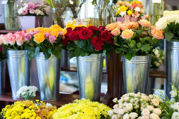 Krásné barevné květiny v květinářství. — Stock fotografie