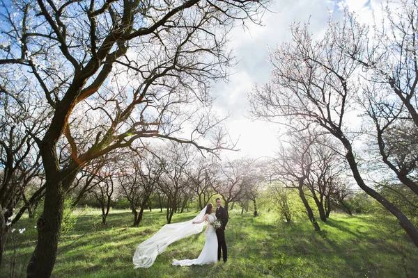 Gelin ve damat yeşil ormanda. — Stok fotoğraf