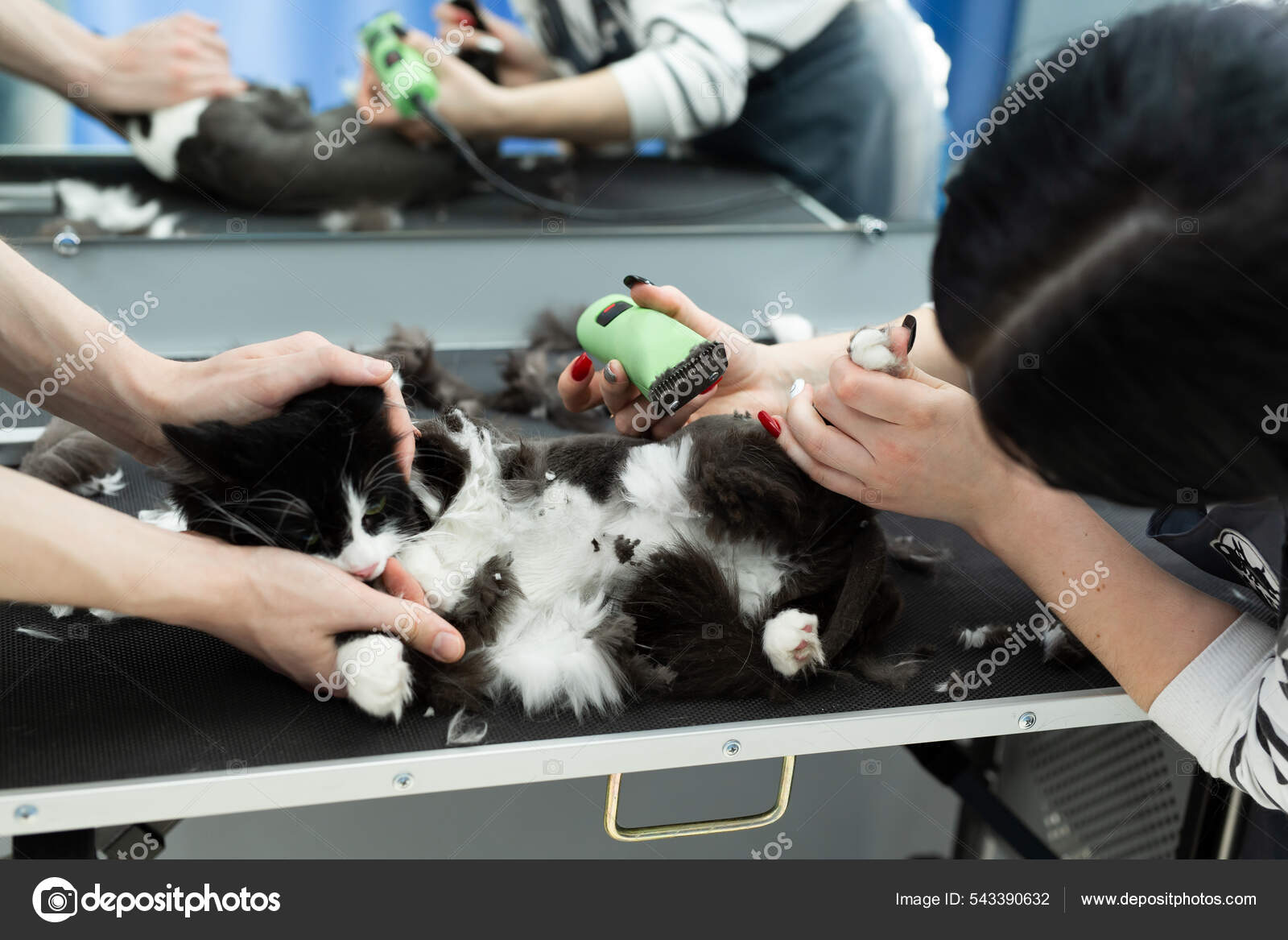 Cat shaving cheap machine