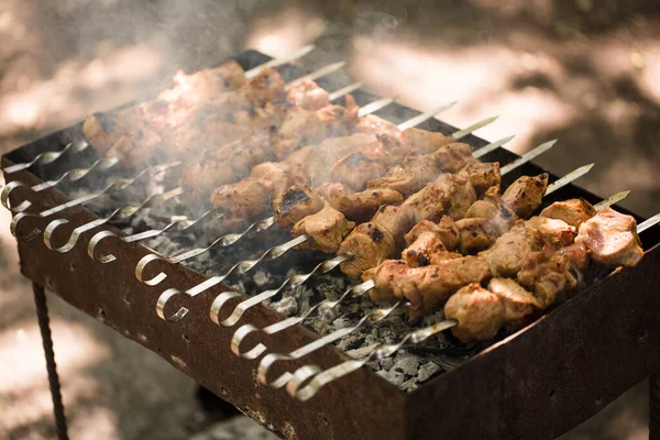 Marinated shashlik preparing on a barbecue grill over charcoal. Shashlik or Shish kebab popular in Eastern Europe. Shashlyk skewered meat was originally made of lamb. Roast Beef Kebabs On BBQ Grill — Stock Photo, Image