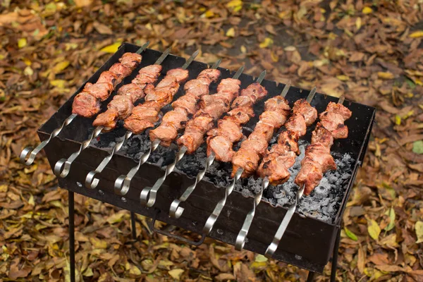 Barbecue Grilled pork kebabs meat lamb kebab marinated caucasus barbecue meat shashlik shish kebab outdoors picnic, soft selective focus , series. — Stock Photo, Image