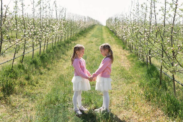 Hermanas gemelas felices se miran y se toman de la mano contra el fondo de un huerto de manzanas verde en flor —  Fotos de Stock
