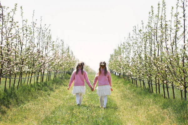 İki ikiz kardeş el ele tutuşur ve baharda çiçek açarken bir elma bahçesinde yürürler. — Stok fotoğraf