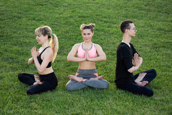 Dospělí zdraví lidé cvičí jógu v parku. Skupinové cvičení na zelené trávě. — Stock fotografie