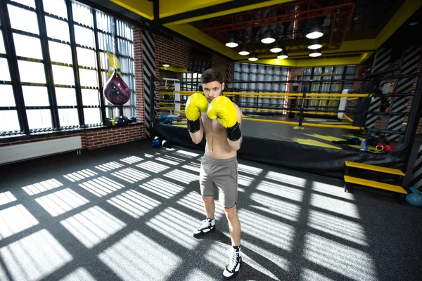 Συλλέγεται αθλητής στην αίθουσα πυγμαχίας εξάσκηση πυγμαχίας γροθιές κατά τη διάρκεια της κατάρτισης. — Φωτογραφία Αρχείου