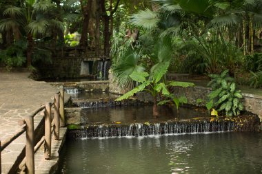 Şelalesi, palmiye ağaçları ve ahşap çiti olan Ulusal Park. Mauritius. Casela.