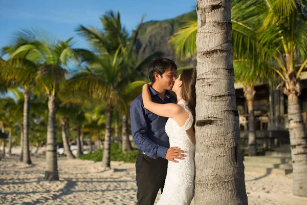 Vackert bröllopspar på stranden nära palmen. — Stockfoto