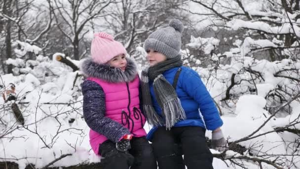 Dzieci, chłopiec i dziewczynka, siedzą na pniu zimą w zaśnieżonym lesie, pocierają nosy i śmieją się — Wideo stockowe