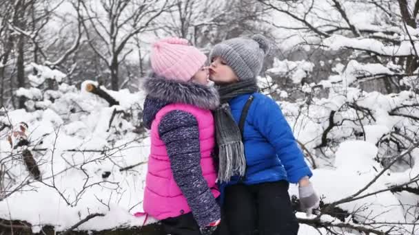 孩子们，一个男孩和一个女孩，在冰雪覆盖的森林里，在寒冷的冬天拥抱和亲吻 — 图库视频影像