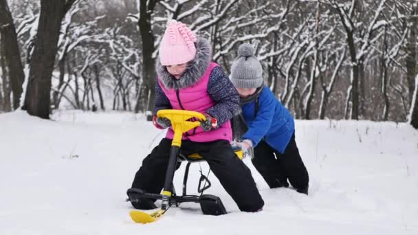 Menino monta uma menina em um trenó no inverno em uma floresta coberta de neve — Vídeo de Stock