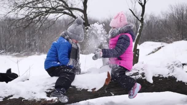 Αγόρι και κορίτσι κάθονται σε ένα αρχαίο δέντρο σε ένα χειμερινό δάσος και ρίχνουν χιόνι ο ένας στον άλλο — Αρχείο Βίντεο