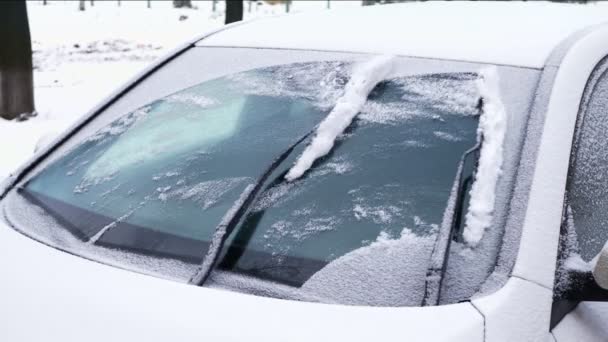 Lames d'essuie-glace de voiture nettoyer la neige des fenêtres de voiture. Des flocons de neige recouvraient la voiture d'une épaisse couche — Video