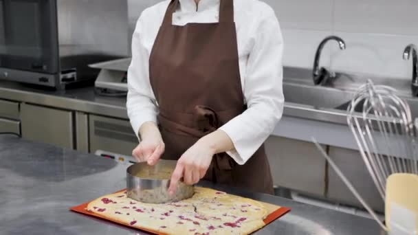 Chef de pastelaria fêmea corta um bolo redondo de uma grande massa de biscoito em uma cozinha profissional — Vídeo de Stock