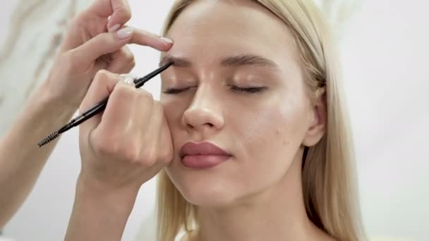 Styliste dessine les sourcils avec un crayon pour une jeune belle femme — Video