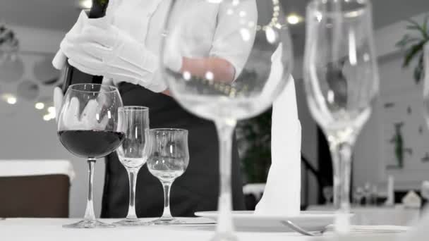 Primo piano di una mano di camerieri che versa il vino rosso in un bicchiere — Video Stock