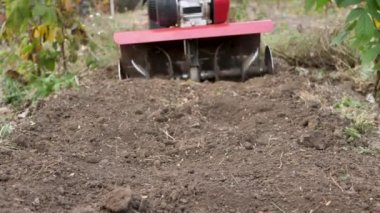 Bahçe ekicisiyle sebze bahçesinde çalışan bir adam. İş için bahçe işçisi, yakın plan. Bir tarlada çalışan traktörlü bir adam.