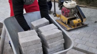 Sıkıştırma makinesi, kaldırım taşlarındaki titreşimli plakalar. Döşeme tahtaları ve kaldırım taşları konsepti
