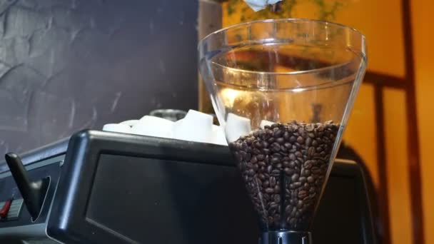 Barista gieten koffiebonen in koffiezetapparaat — Stockvideo