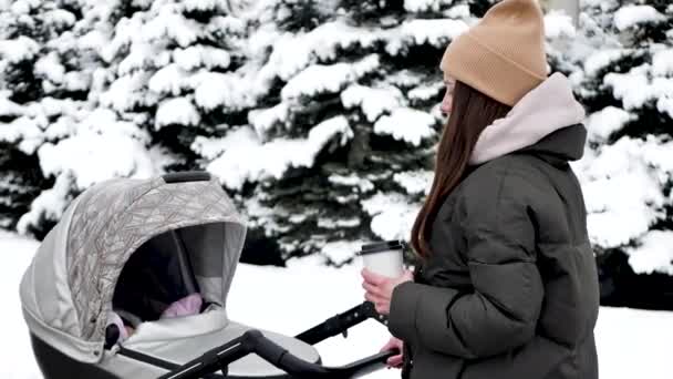 Kışın karlı bir parkta bebek arabasıyla dolaşan güzel bir kadının portresi. — Stok video