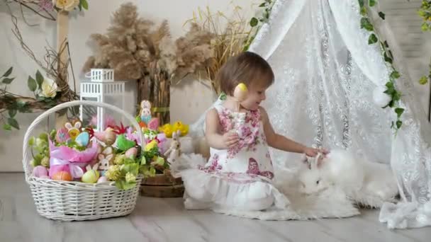Güzel elbiseli küçük kız Paskalya tatilinde beyaz bir tavşanı ütülüyor. — Stok video