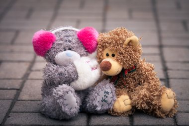 birlikte sokakta oturan çift oyuncak ayılar