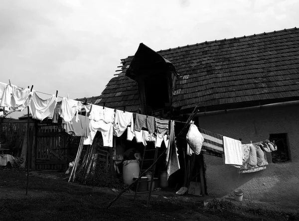 Πλένονται — Φωτογραφία Αρχείου