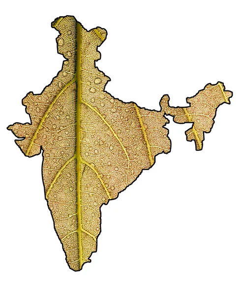 Green India with clipping mask — Stock Photo, Image