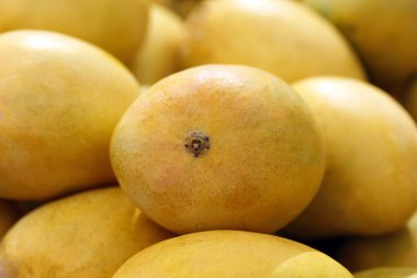 Hint alphonso Mango