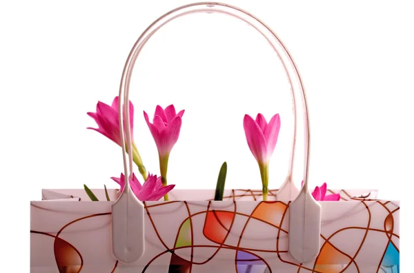 Daffodils em um saco — Fotografia de Stock