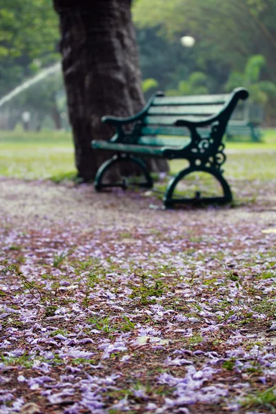 Old chair at lalbagh botanical gardens, Bangalore, India — Stock Photo, Image