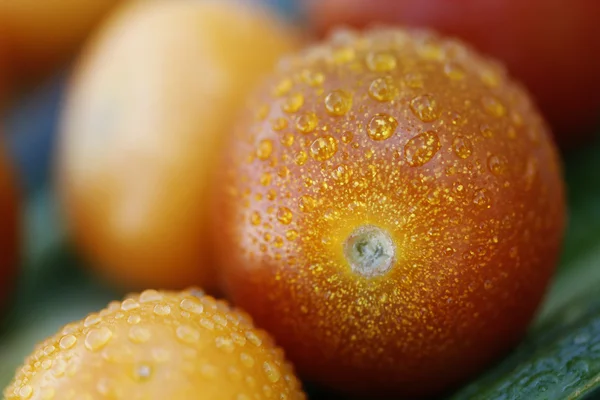 Tomate vermelho com manchas amarelas — Fotografia de Stock