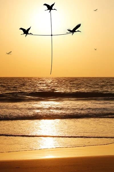 Beautiful & heavenly seaside in the evening with birds carrying — Stock Photo, Image