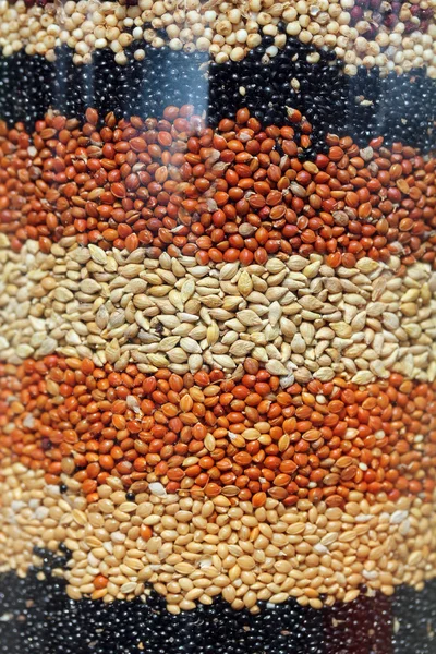 Kolorowe indyjskie millets się jowar, bajra ułożone warstwami w — Zdjęcie stockowe