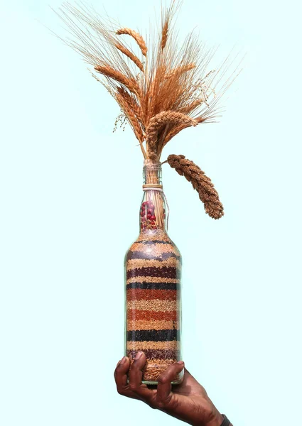 Αγρότης που κρατάει πολύχρωμα ινδική Κεχριά & σιτηρών σε ένα μπουκάλι. ου — Φωτογραφία Αρχείου