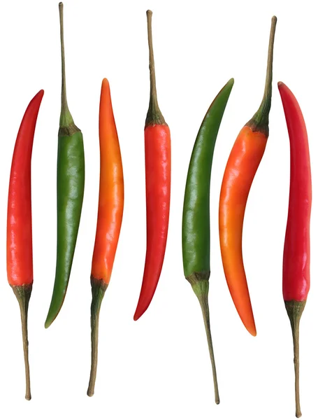 Ferske, organiske, flerfargede chilier isolert på hvit bakovergruppe – stockfoto
