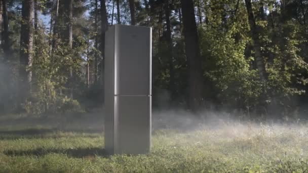 Koelkast staat op groene glade in mist tegen bomen — Stockvideo
