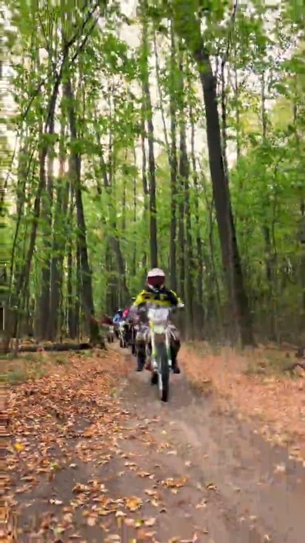 Grupo de pilotos monta motos ao longo da estrada com folhas secas — Vídeo de Stock