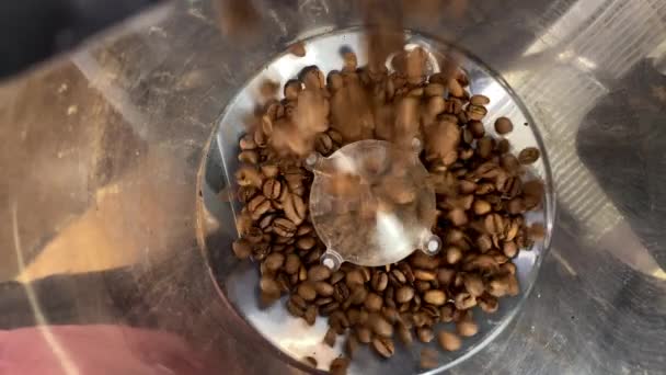 Nalévání fazolí do nádoby mlýnku na kávu — Stock video