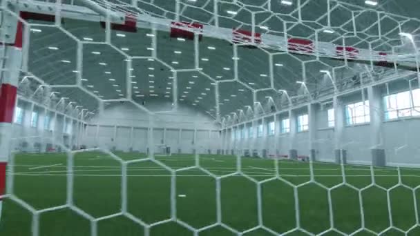 Gates with net on indoor soccer field with artificial grass — ストック動画