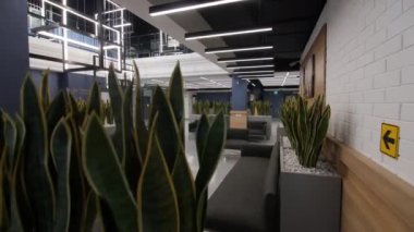 Place to rest with sofas and sansevierias in shopping mall