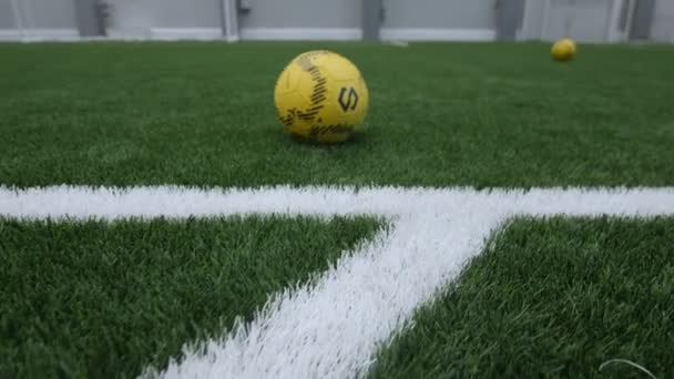 Yellow balls on artificial grass of indoor football field — Stockvideo