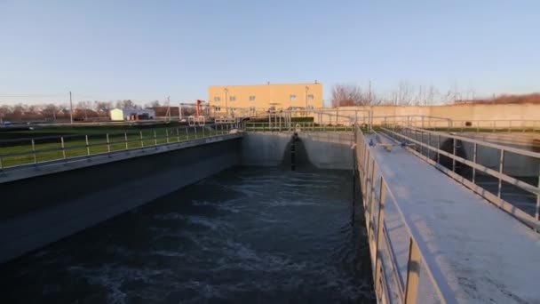 Aireación de agua purificada en la cuenca de la depuradora — Vídeos de Stock