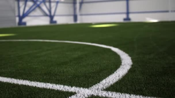 Puste boisko do piłki nożnej z oznakowaniem i zieloną sztuczną trawą — Wideo stockowe