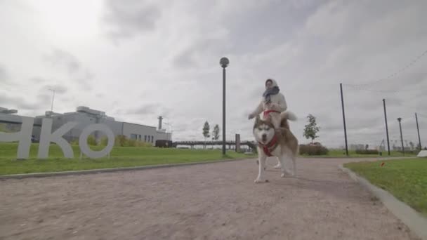 Mulher caminha cão husky ao longo da estrada passado letras de marca no parque — Vídeo de Stock