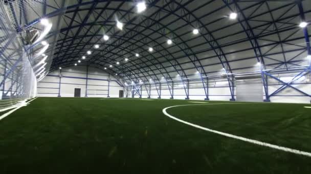 Terrain de football couvert de gazon luxuriant sous un toit semi-circulaire — Video