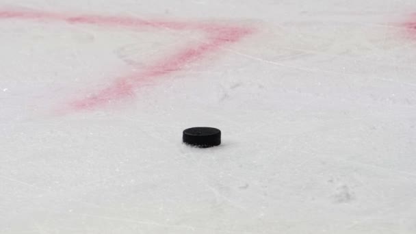 Černý puk a bruslení hokejový soudce na velké ledové aréně — Stock video