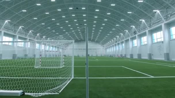 Gates med mesh och vita markeringslinjer på fotbollsplanen — Stockvideo