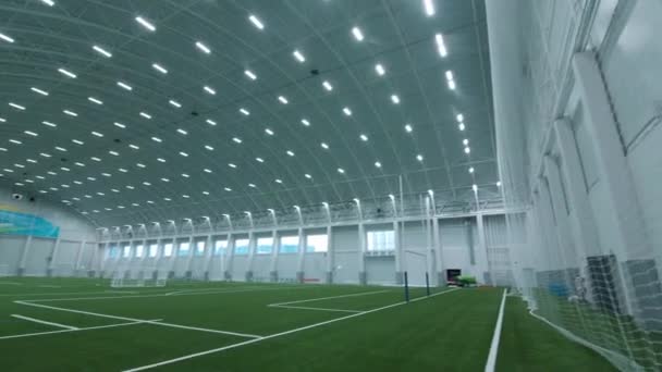 Пустое зеленое футбольное поле на современной спортивной арене — стоковое видео