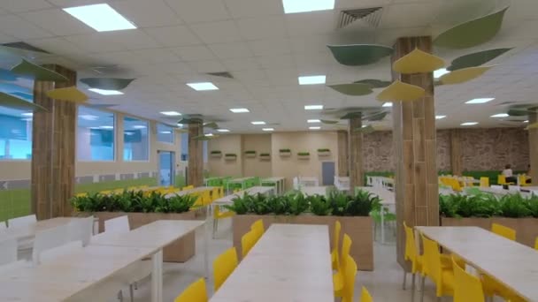 Coworking vazio espaçoso com mesas e plantas em vaso — Vídeo de Stock