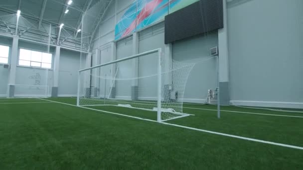 Tor steht auf leerem grünen Fußballfeld an Sportarena — Stockvideo